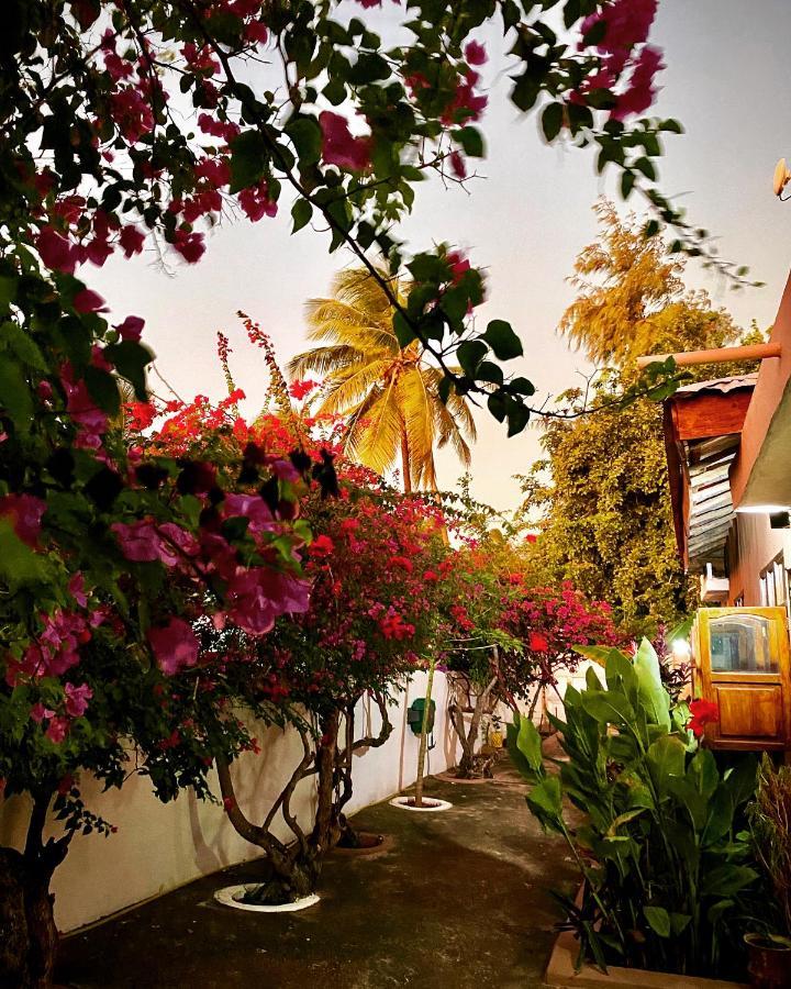 Villa Orchid Beach Guest House ブウェワウ エクステリア 写真