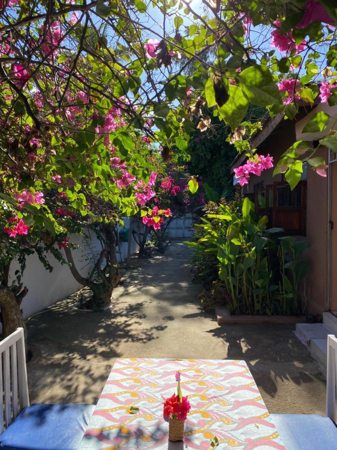 Villa Orchid Beach Guest House ブウェワウ エクステリア 写真